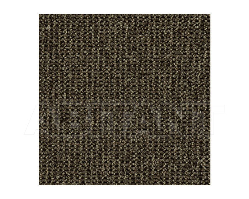Buy Carpeting Ege  Wall-to-wall carpets 0681185