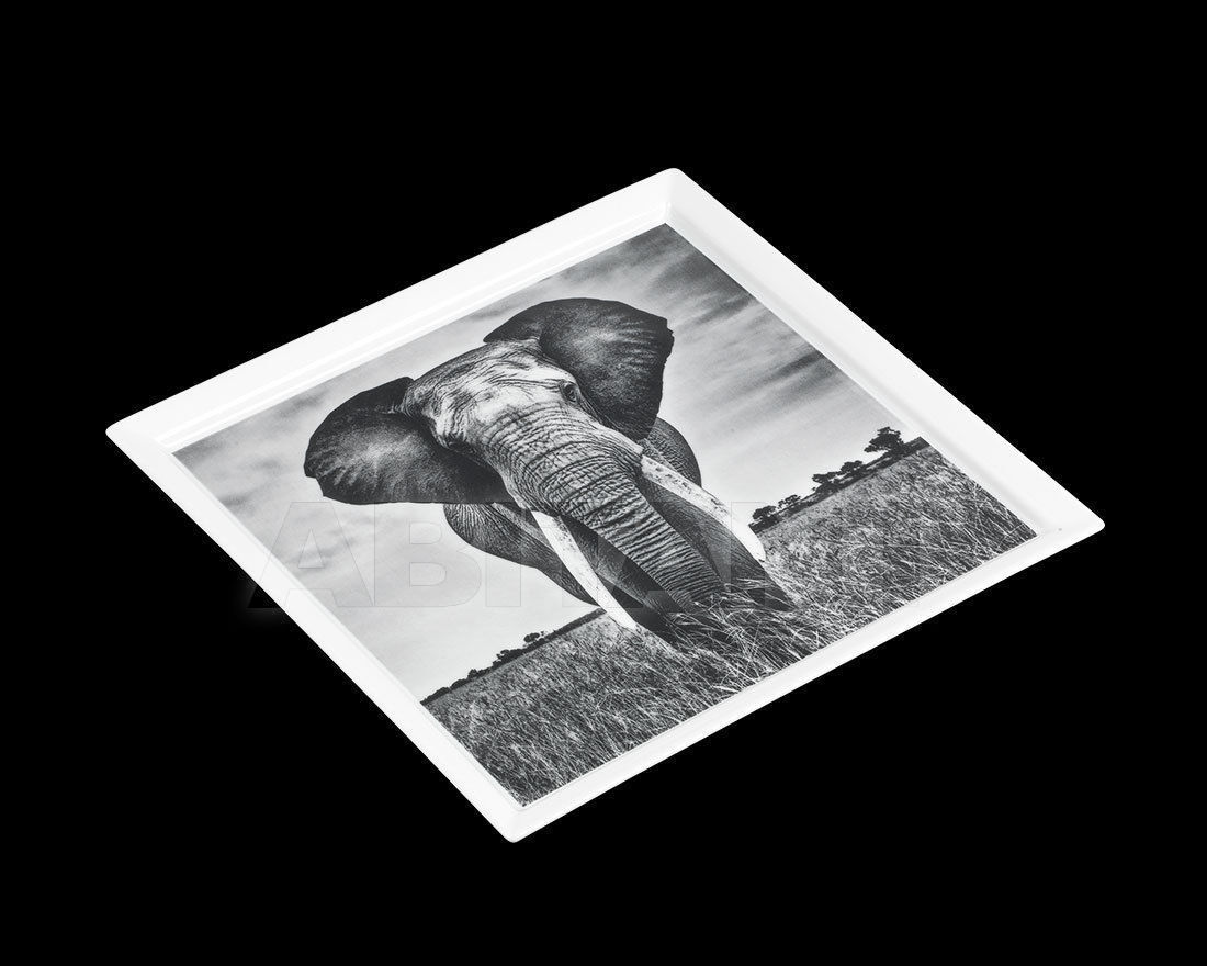 Buy Tray  Haviland 2017 33236 356 1711 2