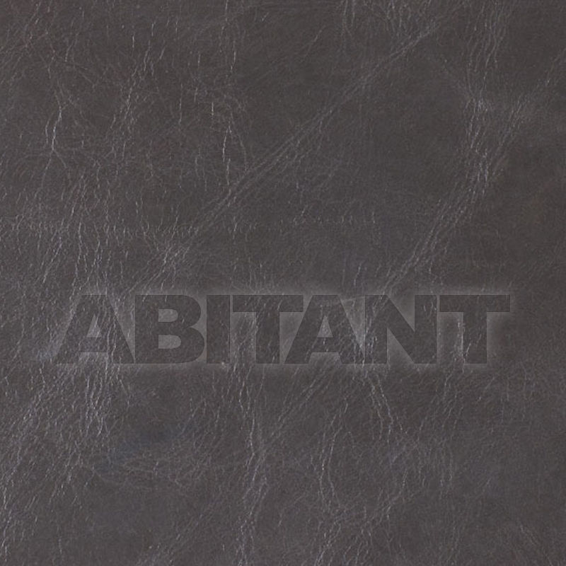 Buy Upholstery BALMORAL GRAPHITE Vanguard Furniture Leather 2701 