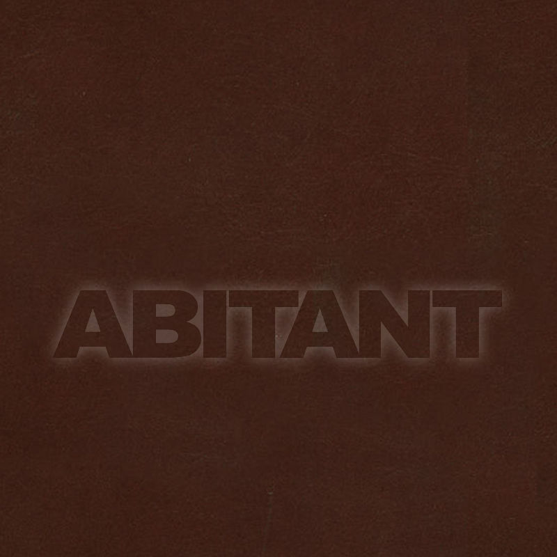 Buy Upholstery FRONTIER AUTUMN  Vanguard Furniture Leather 2406 