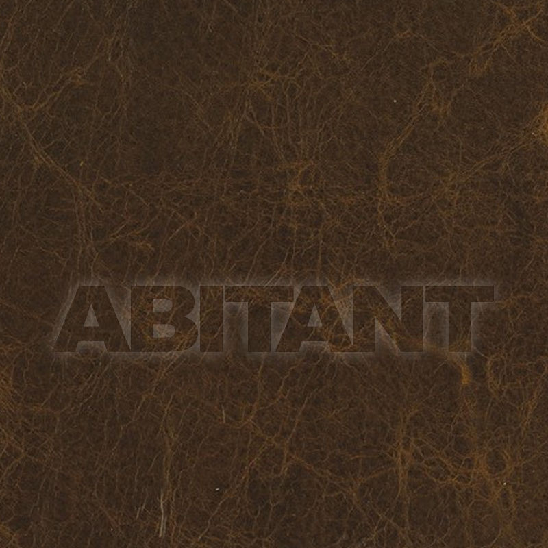 Buy Upholstery HEMINGWAY EXPLORER Vanguard Furniture Leather 2578 