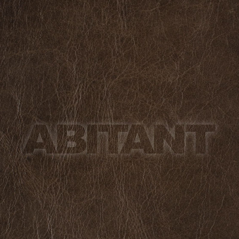 Buy Upholstery SOUTHWICK CHARCOAL Vanguard Furniture Leather 2684 