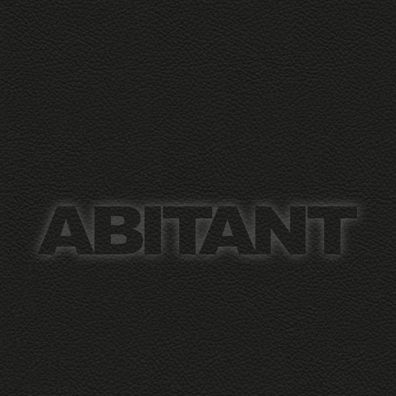 Buy Upholstery SPECTRUM BLACK Vanguard Furniture Leather 2454 