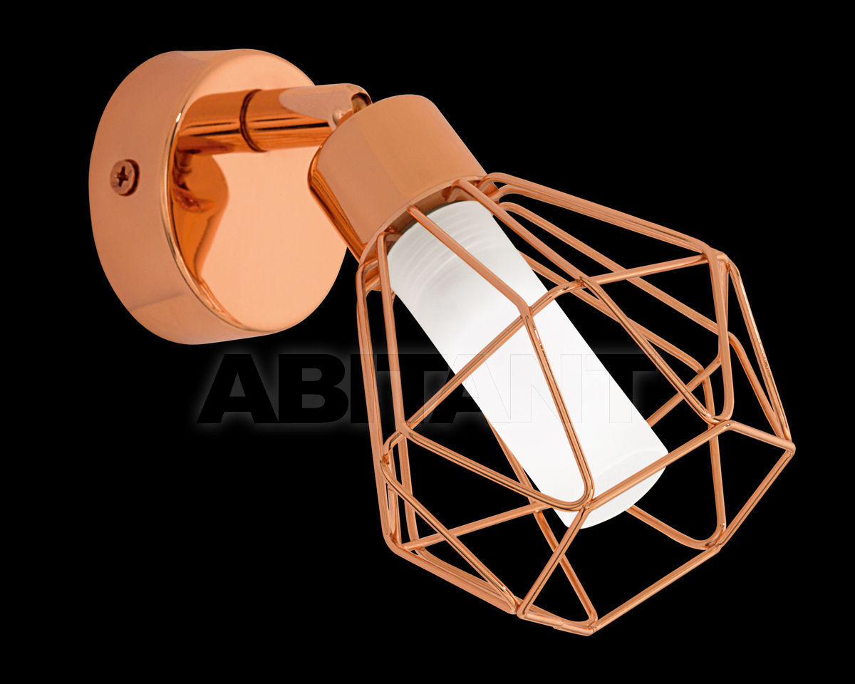 Spot light 95545 price on request Buy Spot light Eglo Leuchten GmbH 2018 95545