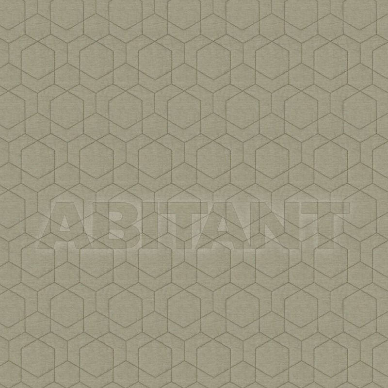 Buy Interior fabric Hex Sharp Fabricut 2018 9062801