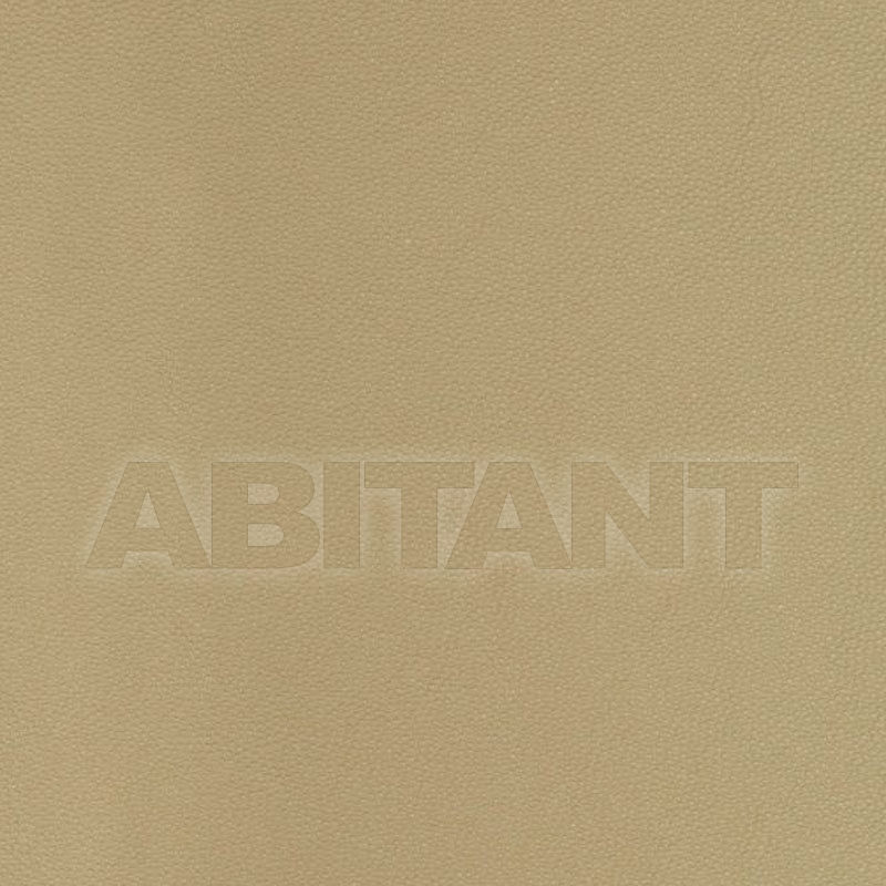 Buy Portiere fabric Kravet FABRICS ALDWIN.616.0