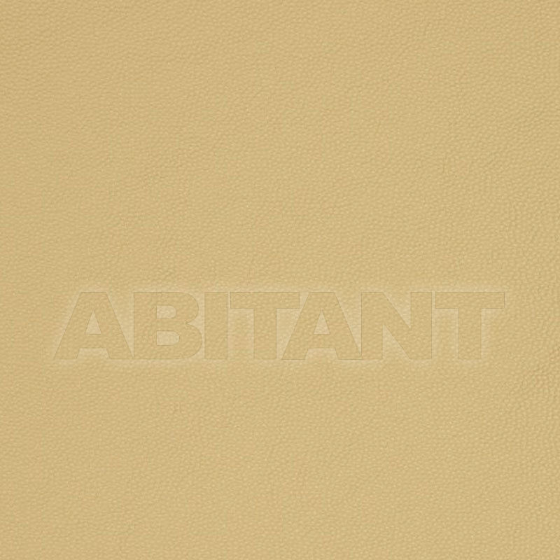 Buy Portiere fabric Kravet FABRICS ALDWIN.16.0