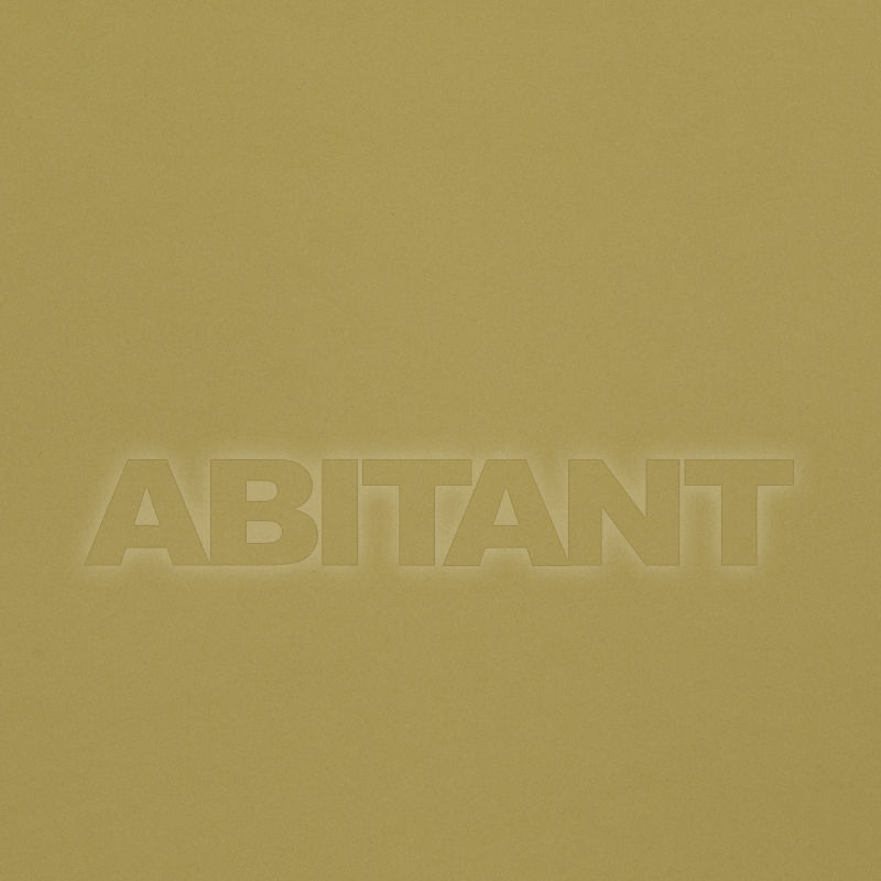 Buy Portiere fabric Solar Satin Fabricut 2018 2082227