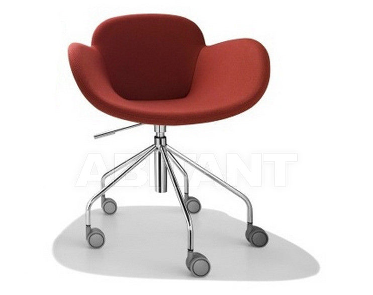 Armchair Coccola/HR 2 1 price on request Buy Armchair Casprini Emotional Shapes Coccola/HR 2 1