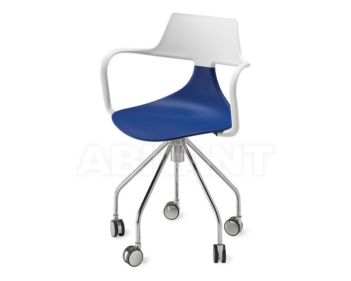 Buy Armchair Green srl 2013 Ska Shark 2