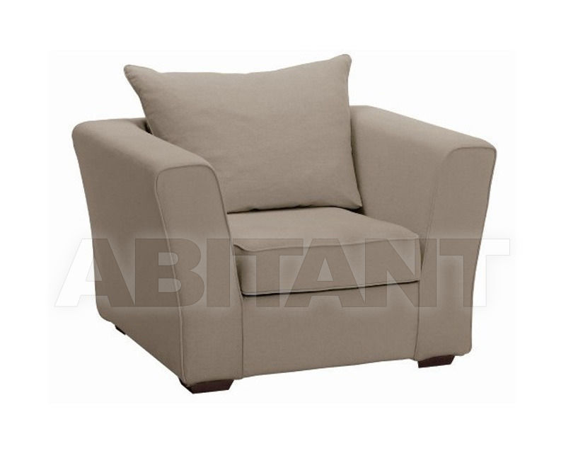 Buy Сhair Home Spirit Silver Watson / Willy ARMCHAIR 1