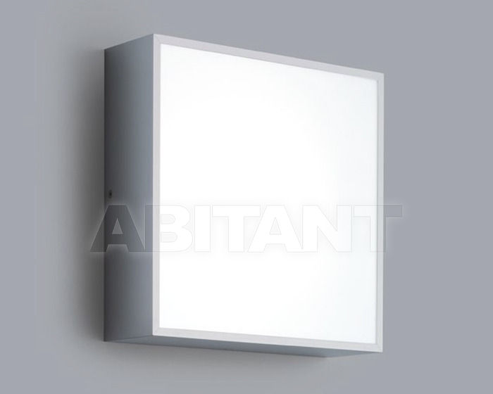 Buy Wall light CLEAR Schmitz 2014 35169.251