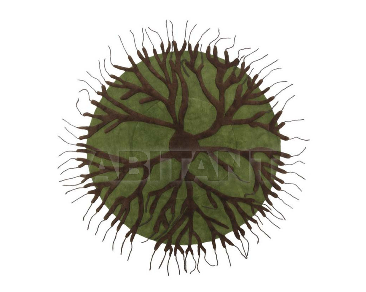 Designer carpet ROOTS price on request Buy Designer carpet Nodus by IL Piccoli Limited Edition ROOTS