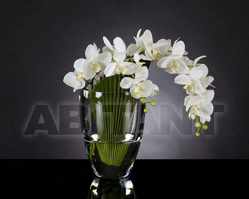 Vase Phalenopsis 1140781.95 price on request Buy Vase Phalenopsis VGnewtrend Home Decor 1140781.95