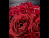 Decor element  Roses VGnewtrend Home Decor 1141064.30 Contemporary / Modern