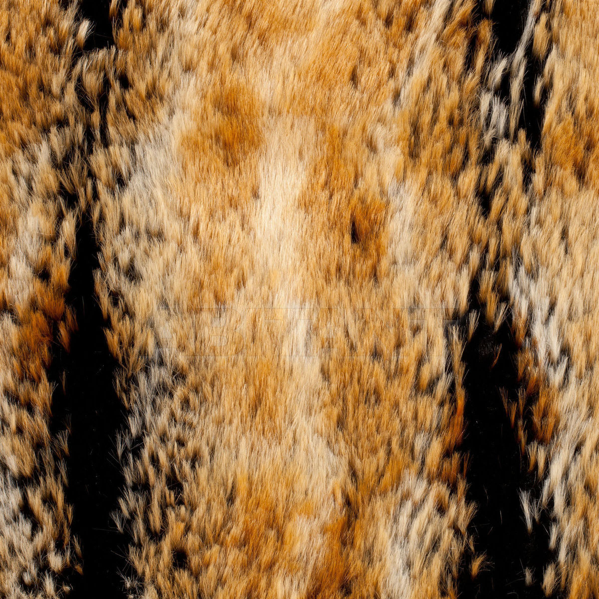 Upholstery MYSTIFICATION CA1030 060 price on request Buy Upholstery MYSTIFICATION Chivasso BV 2015 CA1030 060