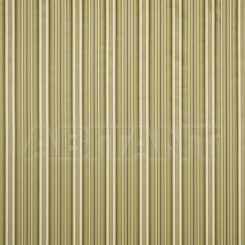 Buy Interior fabric  Longtown Kiwi Fabricut Chromatics Xix 0368402